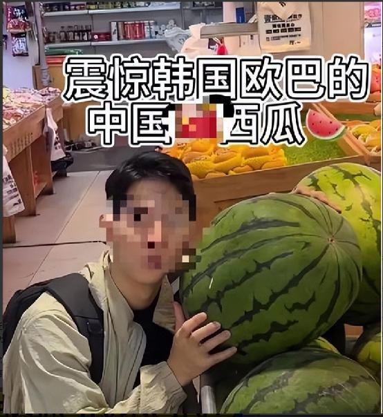 华免签的外国人回国后开始茶不思饭不想PG麻将胡了风向彻底变了!第一批来(图9)
